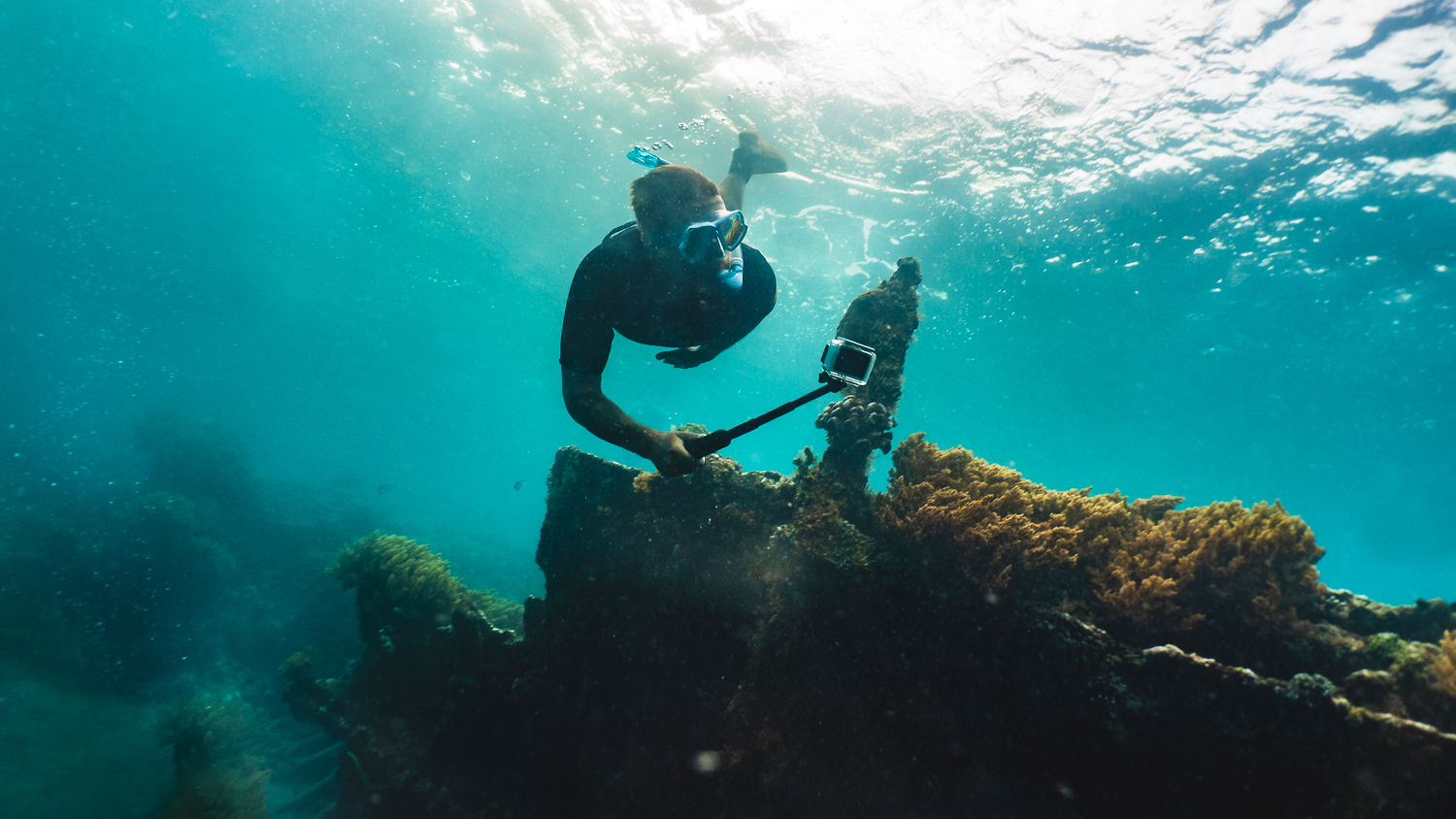 Gadgets to Enjoy the Summer in Vallarta · Nayarit