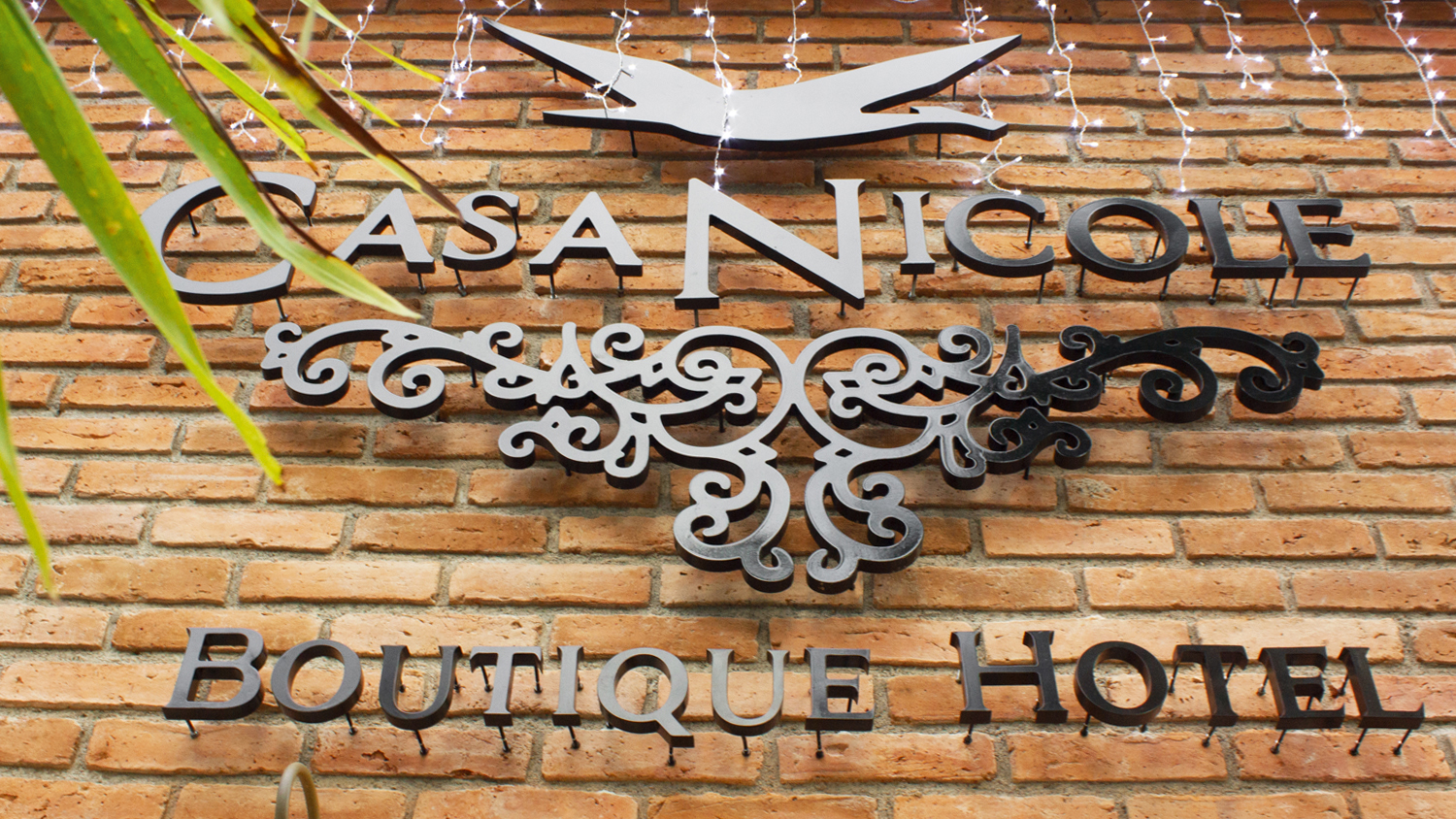 Gran Inauguración de Casa Nicole