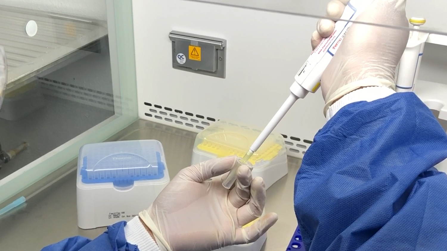 UdeG Abre Laboratorio Covid-19 en Puerto Vallarta