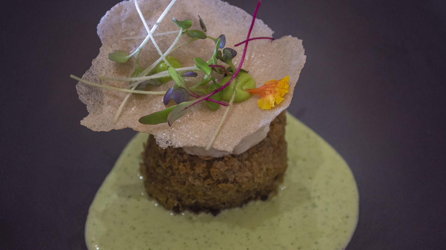Gaviotas Presents its Sensory Experience