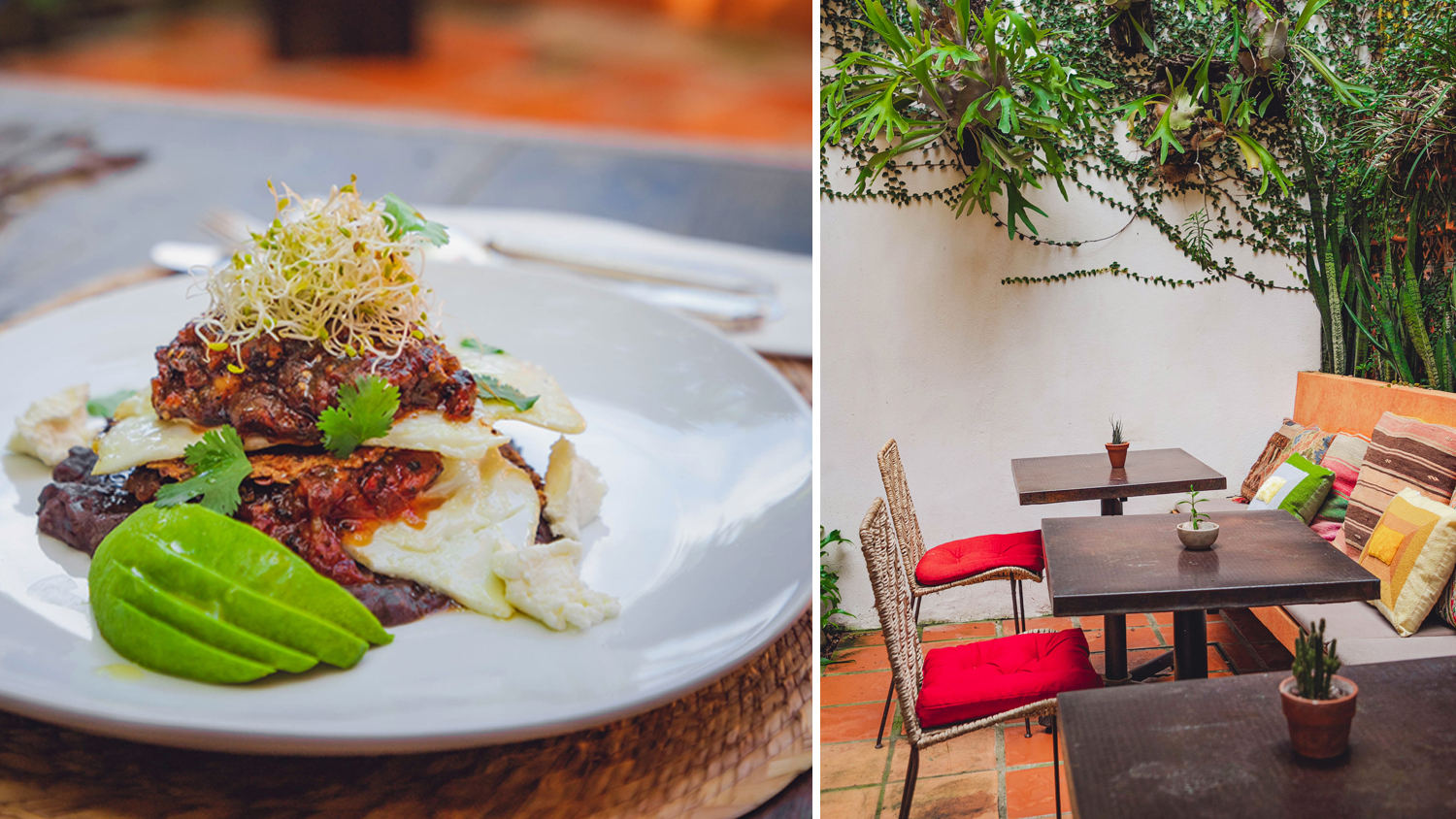 Bistro Orgánico: Una Joya Gastronómica en San Pancho