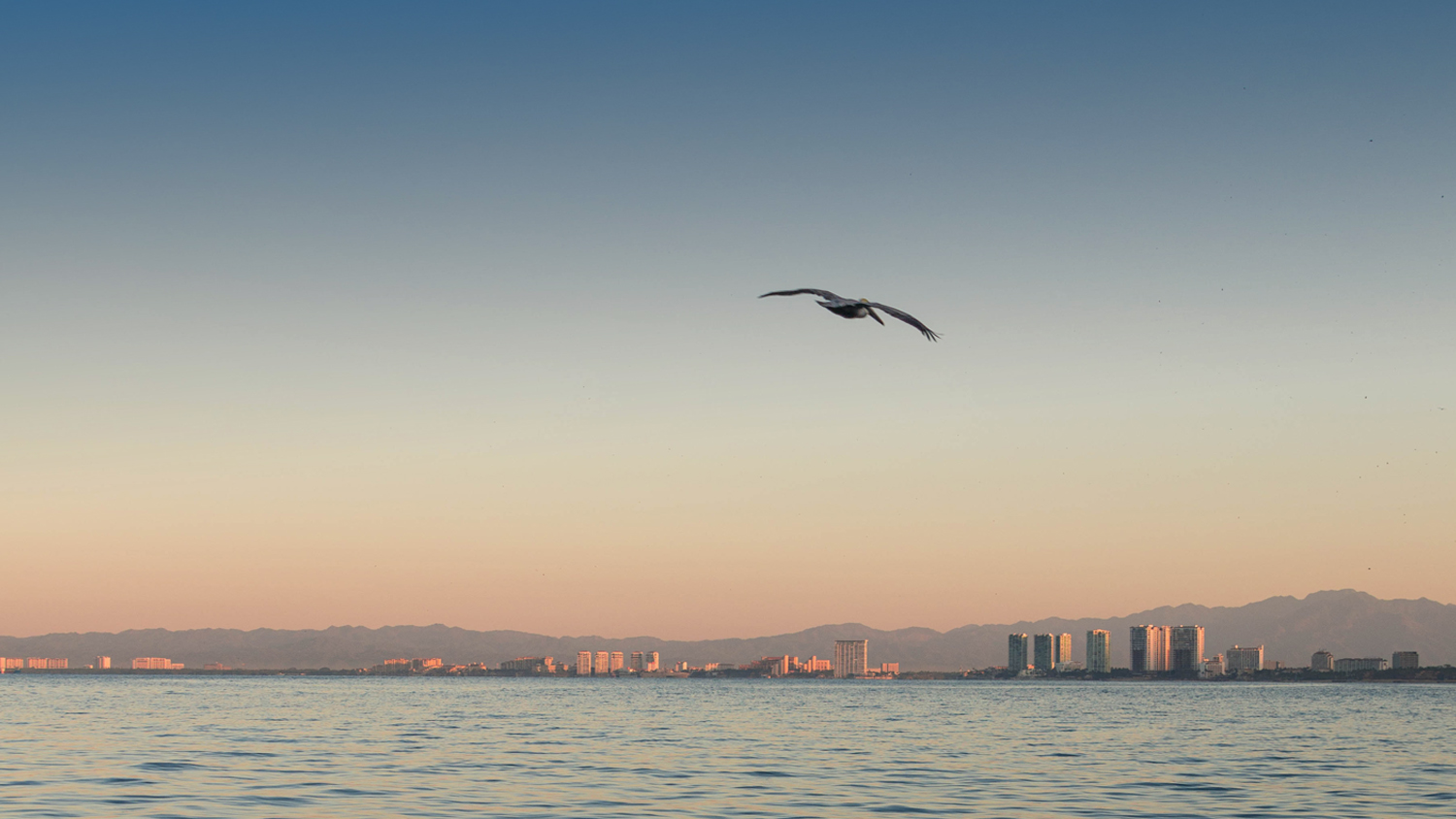 2021: ¿Qué hay en tu Horizonte?