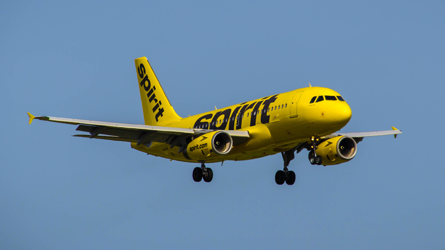 Spirit Airlines Arrives in Vallarta · Nayarit