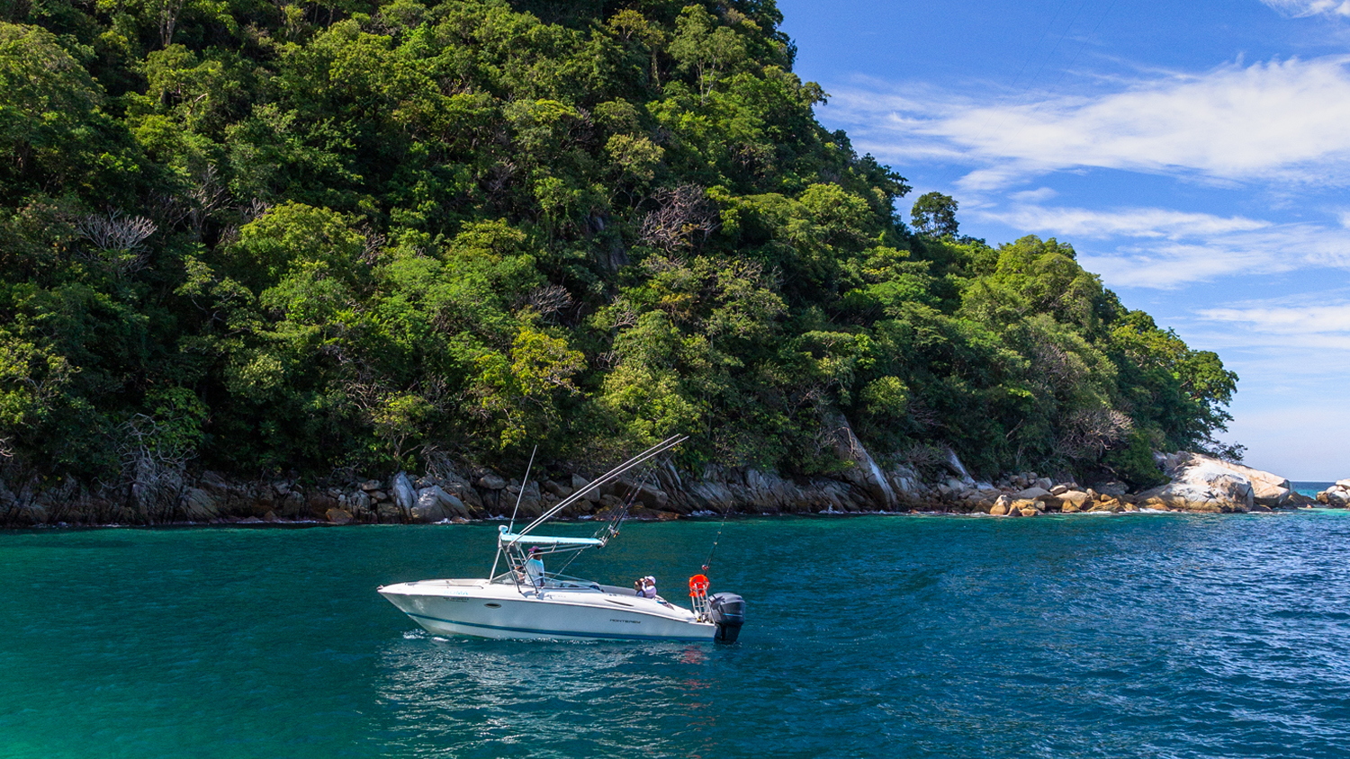 Esenciales de Nuestro Destino: Viaje en Taxi Acuático a la Costa Sur