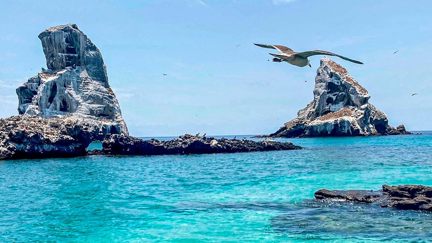 Isla Isabel: Un Paraíso de Riviera Nayarit