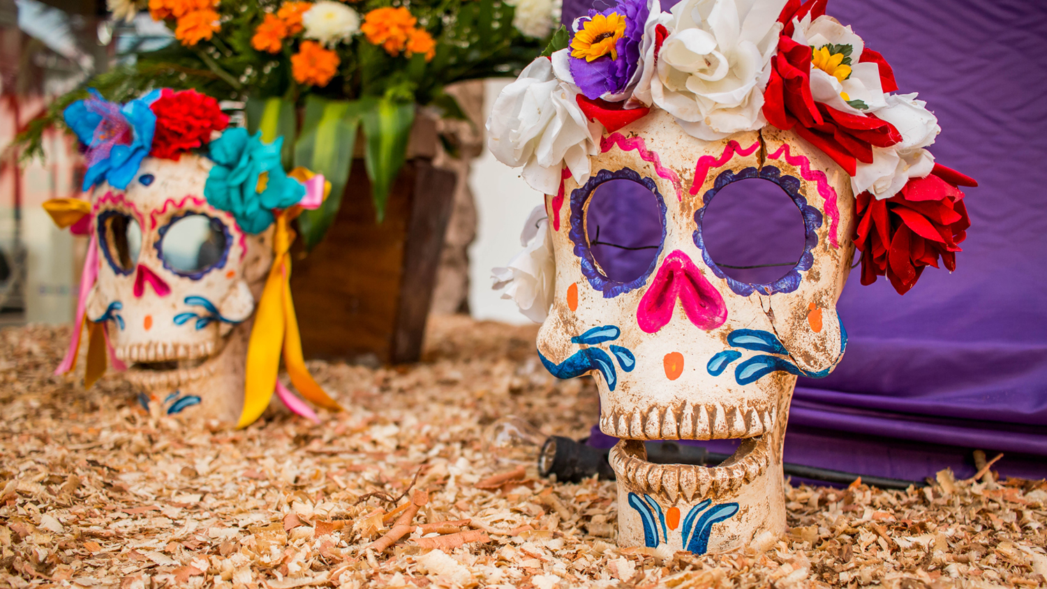 El Tuito Anuncia Festival de Día de Muertos