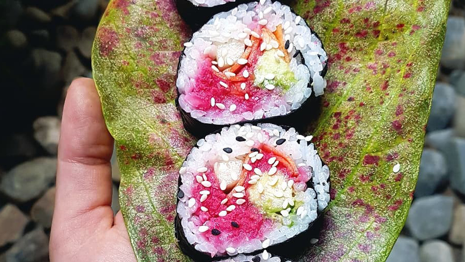 Arigato Bake & Brew: Sushi, Cerveza Artesanal y Pan Artesanal en San Pancho
