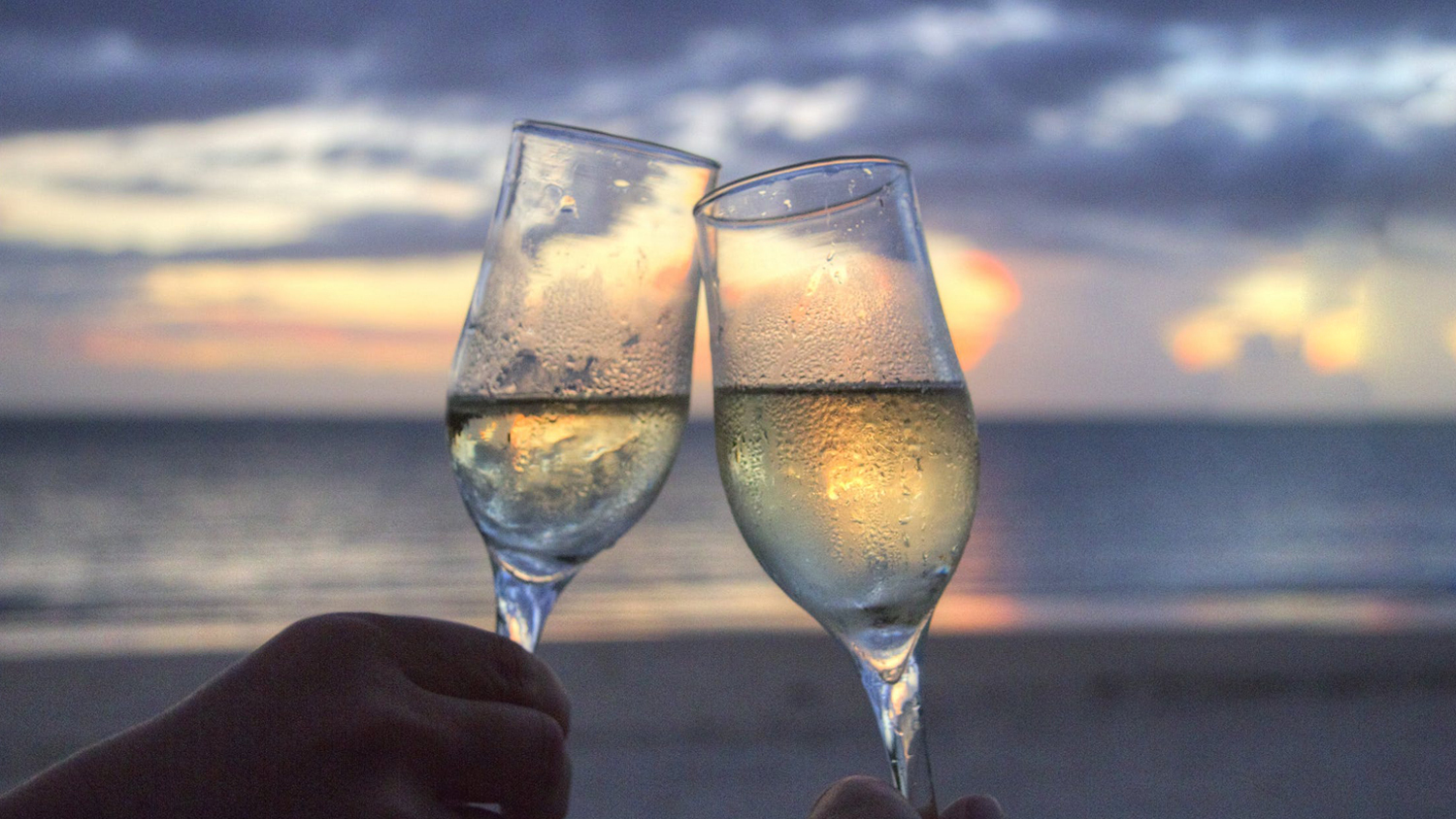 14 de Febrero en Vallarta · Nayarit: ¿Dónde Celebrar este Día tan Especial?