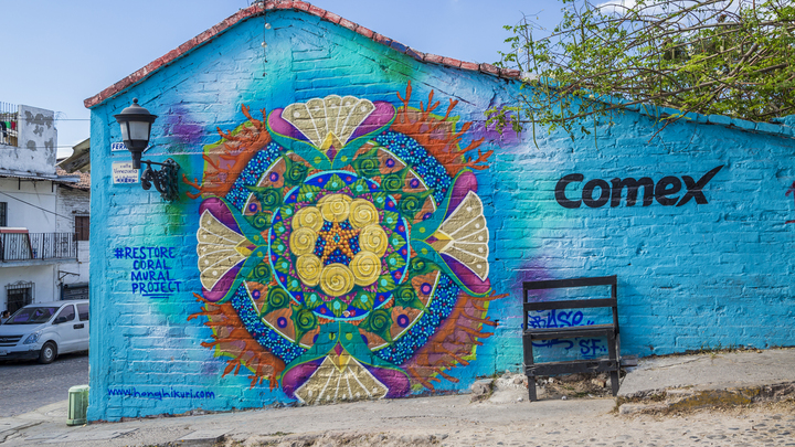 Arte Urbano en Puerto Vallarta: Calle Venezuela