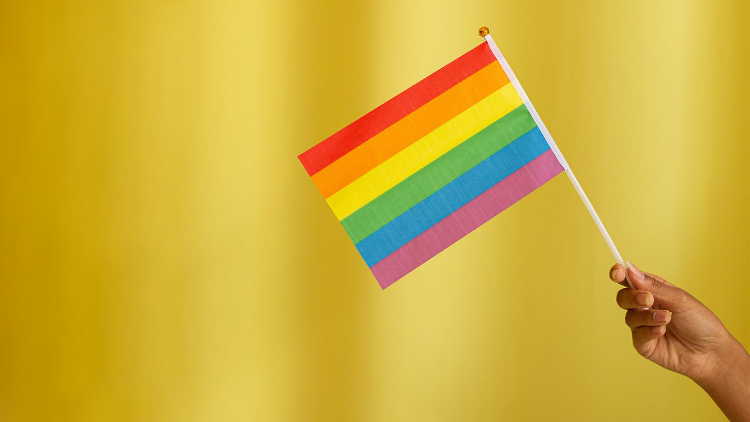 Puerto Vallarta Celebrará la 2º Edición del Festival Nuestro Orgullo