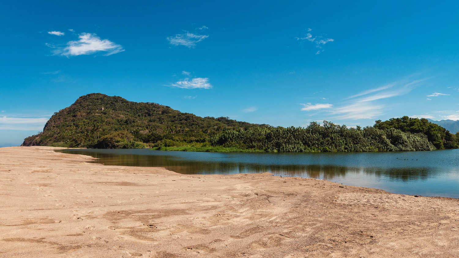 Estero de Lo de Marcos: Un Santuario para la Observación de Aves