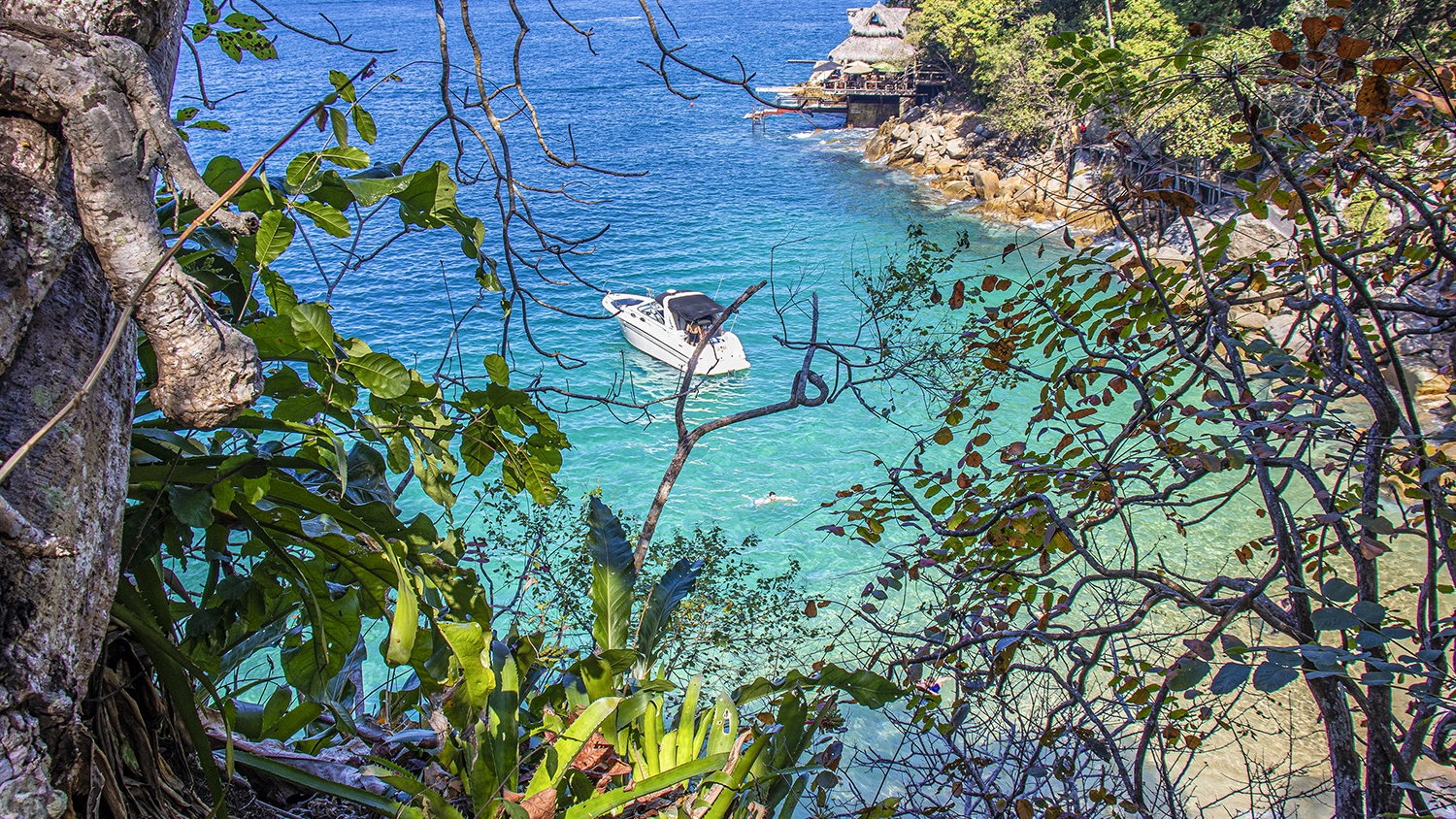 9 Playas de Puerto Vallarta para Visitar en la Costa Sur