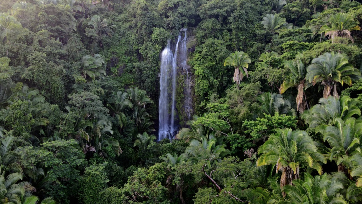 La Cascada El Salto: Un Espectáculo Natural de la Temporada de Lluvias en Puerto Vallarta