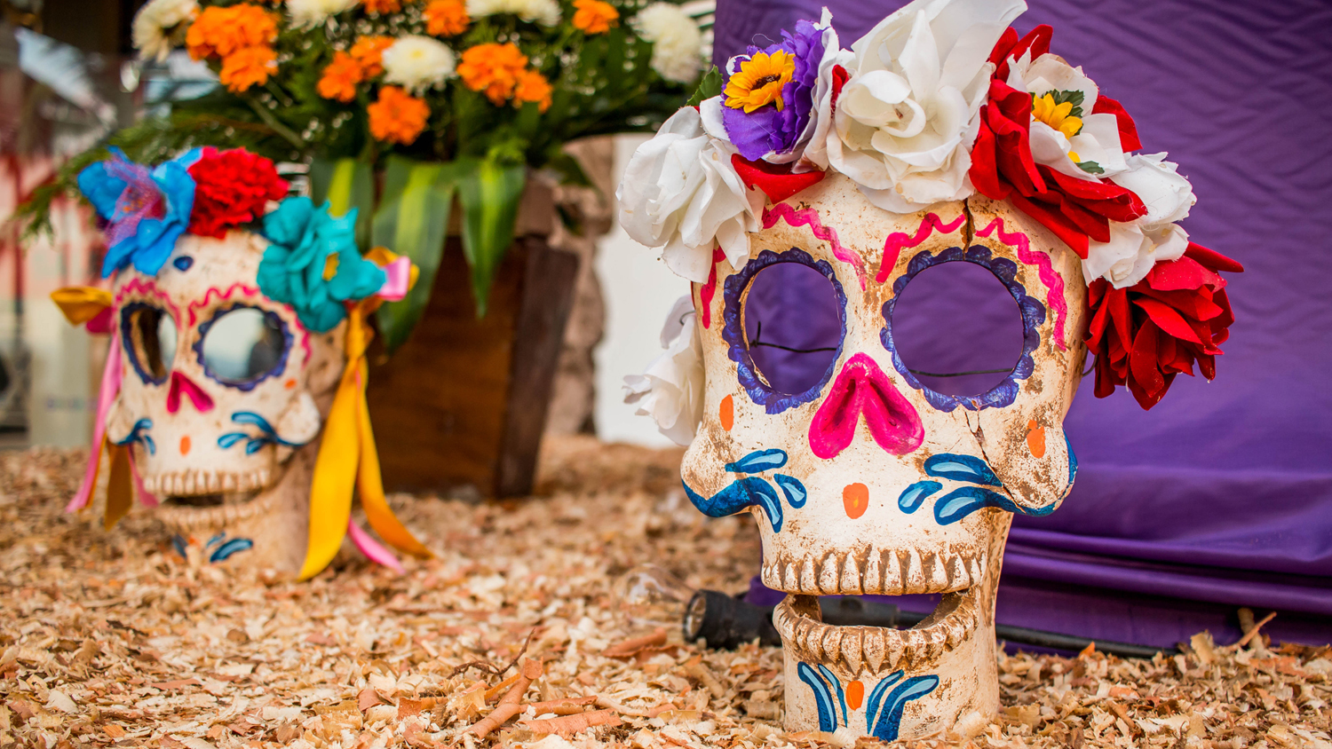 Anuncian la Celebración de la Isla de Los Muertos