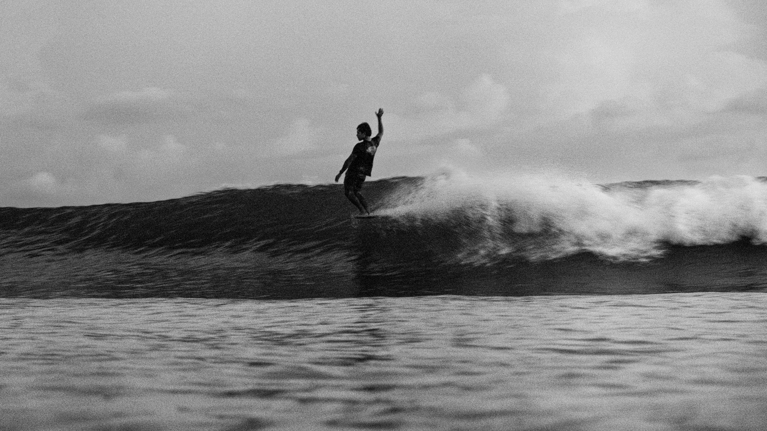Sayulita Movie Night: Proyección de Documentales Surf