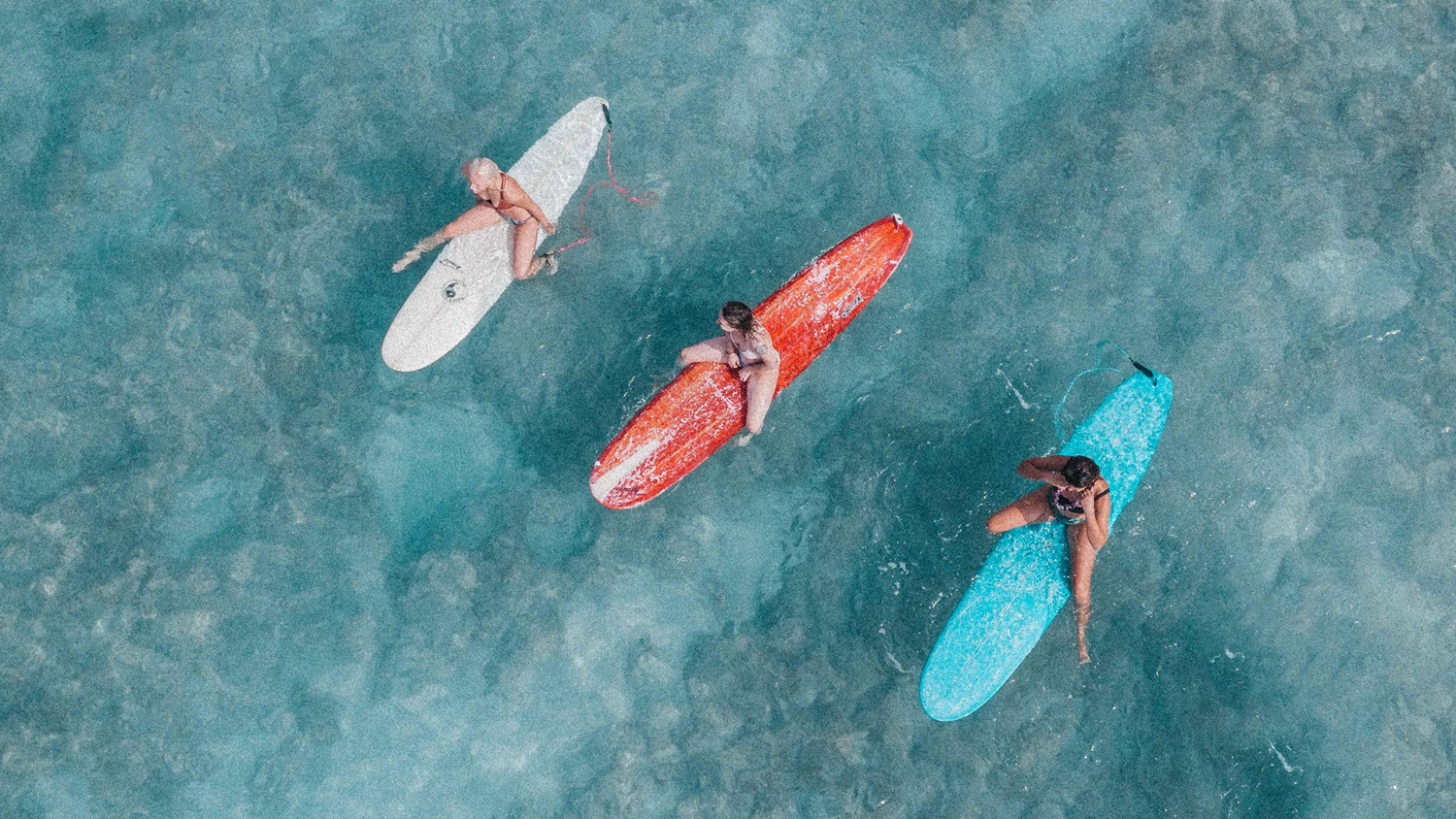 3 Cosas Divertidas para Hacer en Riviera Nayarit