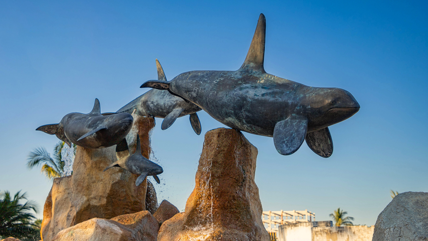 Las Orcas: Una Atractiva Escultura en Marina Vallarta