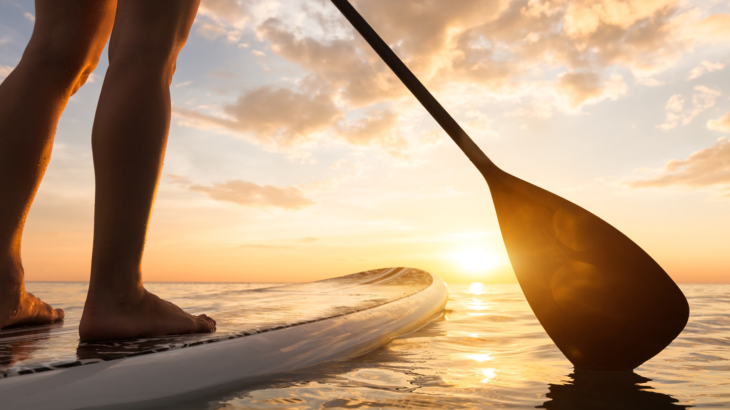 Paddleboard: El Deporte Acuático sobre las Olas