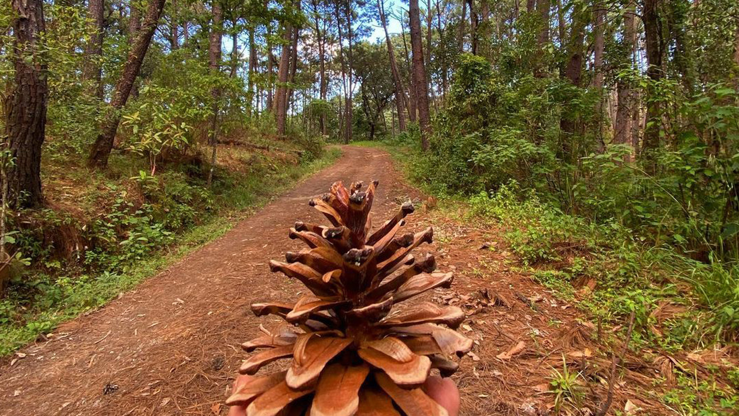 Exploring Jalisco’s Natural Wonders: 5 Not-to-Be Missed Places