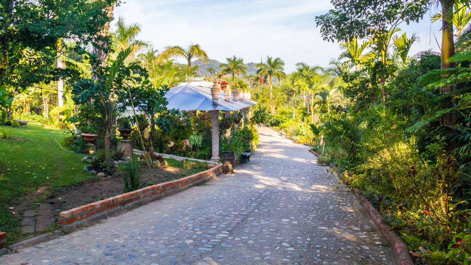 Reconocen al Jardín Botánico de Vallarta como ANP de Jalisco