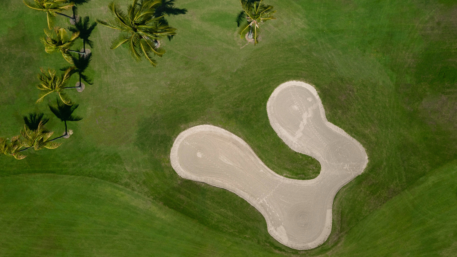 Golf y Elegancia en Marina Vallarta
