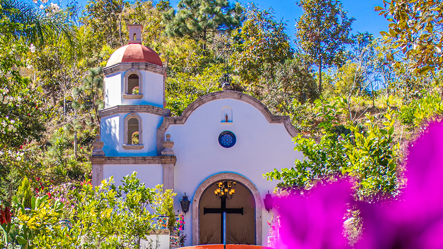 Explorando el Jardín Botánico de Puerto Vallarta