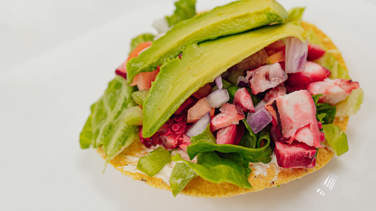 El 15º Festival del Ceviche y Aguachile de Puerto Vallarta Regresa con Fiesta Culinaria