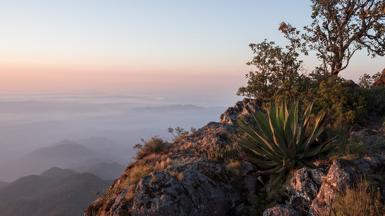 Explorando más Allá de Puerto Vallarta: 4 Excursiones Fascinantes de un Día