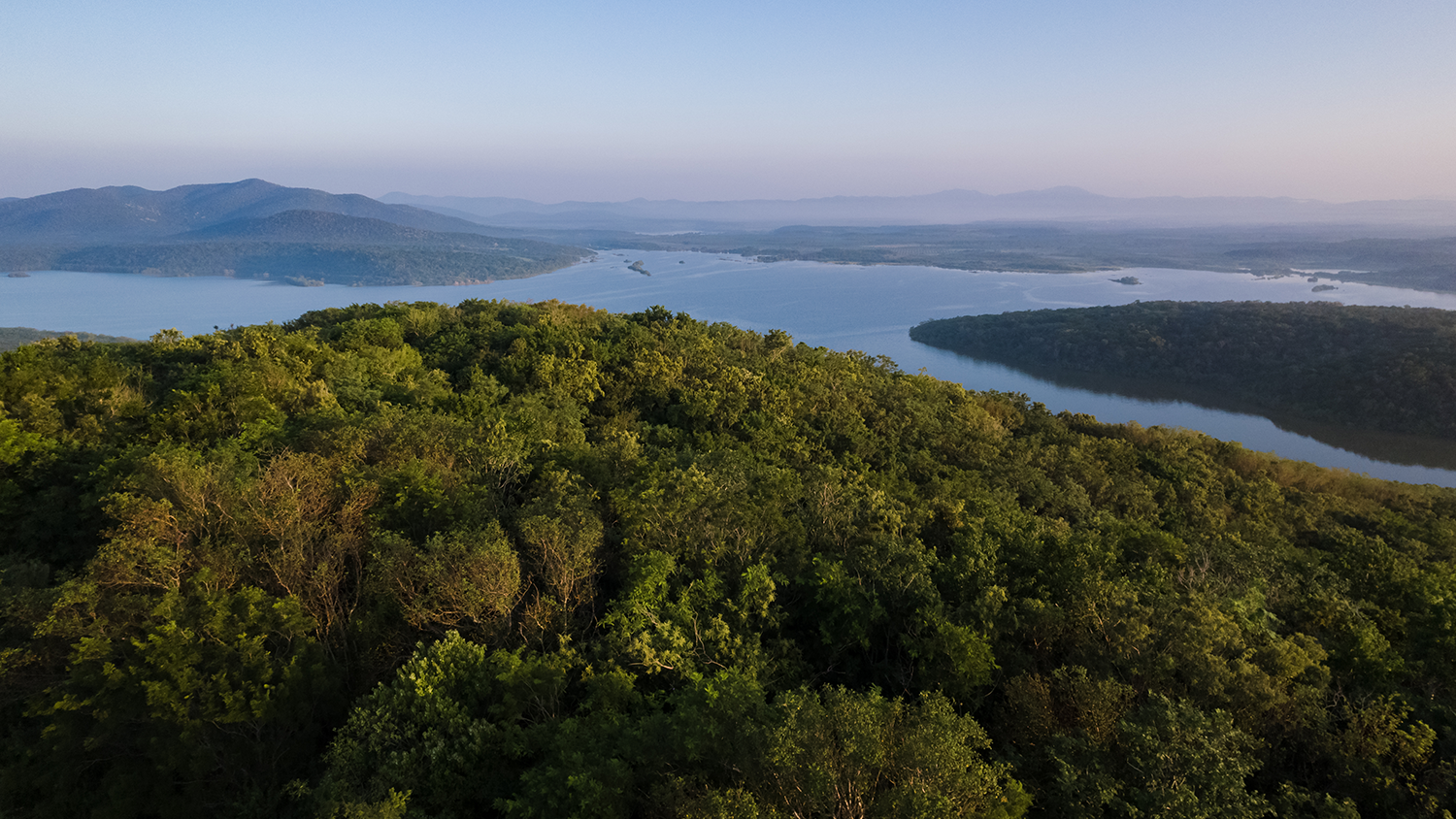 Jalisco y sus Sitios Ramsar: Un Refugio de Biodiversidad