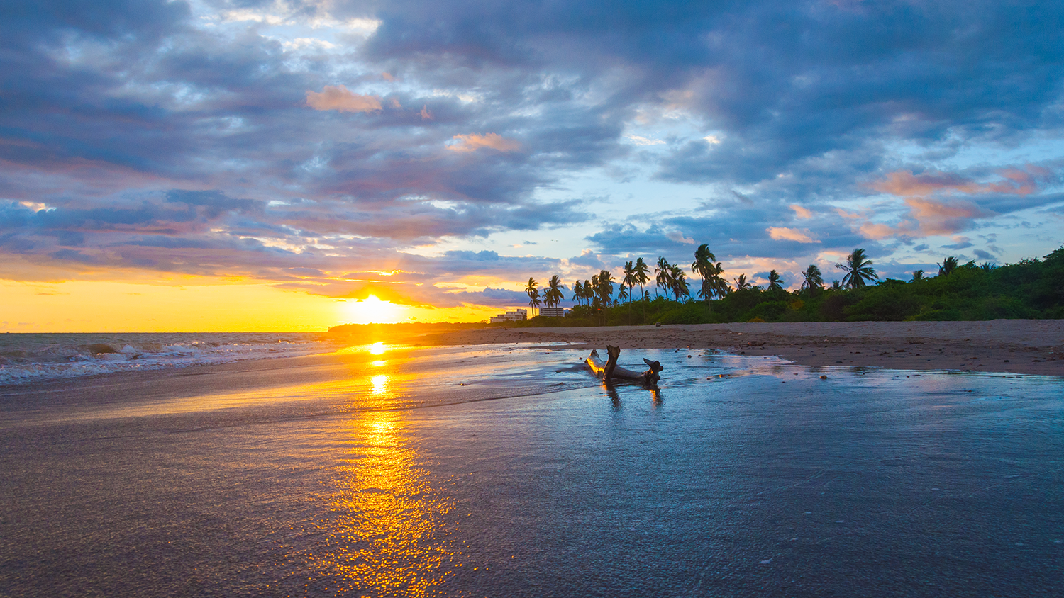 Playa Boca de Tomates: Un Lugar de Encanto Indomable