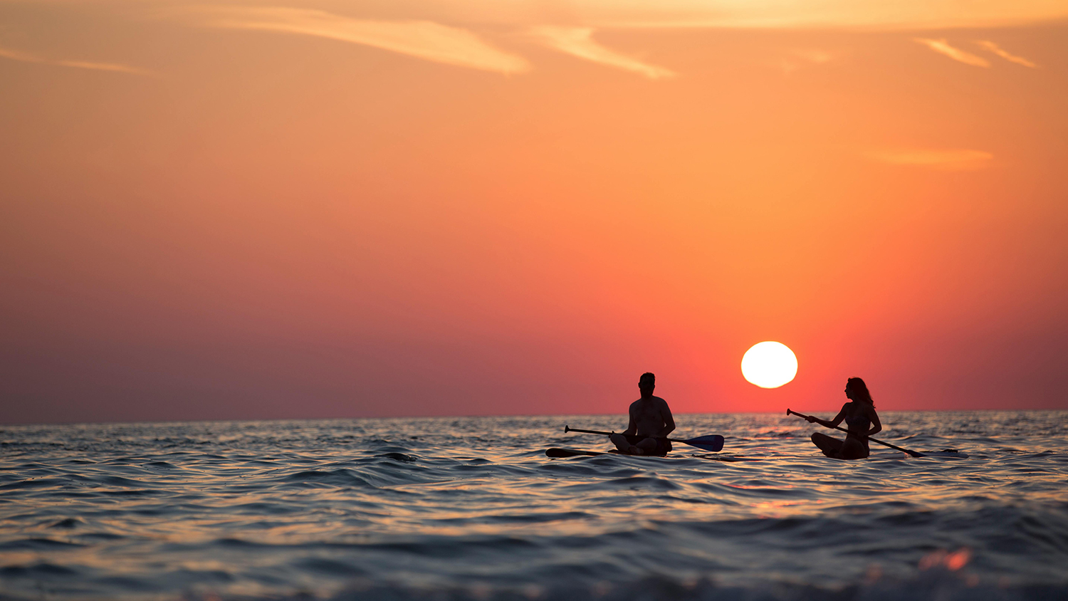 Diversión de Verano en Vallarta · Nayarit