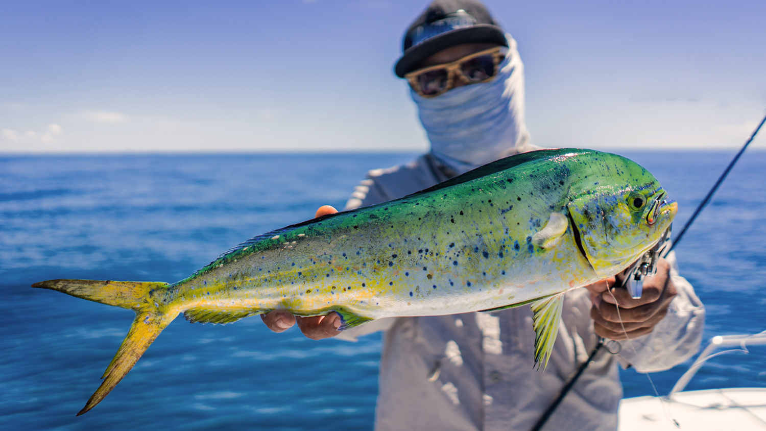 Puerto Vallarta: Un Paraíso para la Pesca—6º Lugar a Nivel Mundial