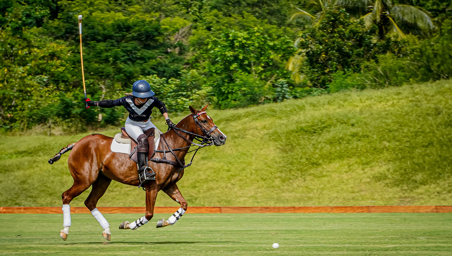 VI Coco Copa de Polo 2025: Un Evento Deportivo con Propósito