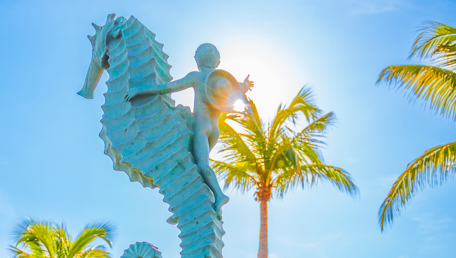 Puerto Vallarta: Un Destino que Encanta y Sorprende