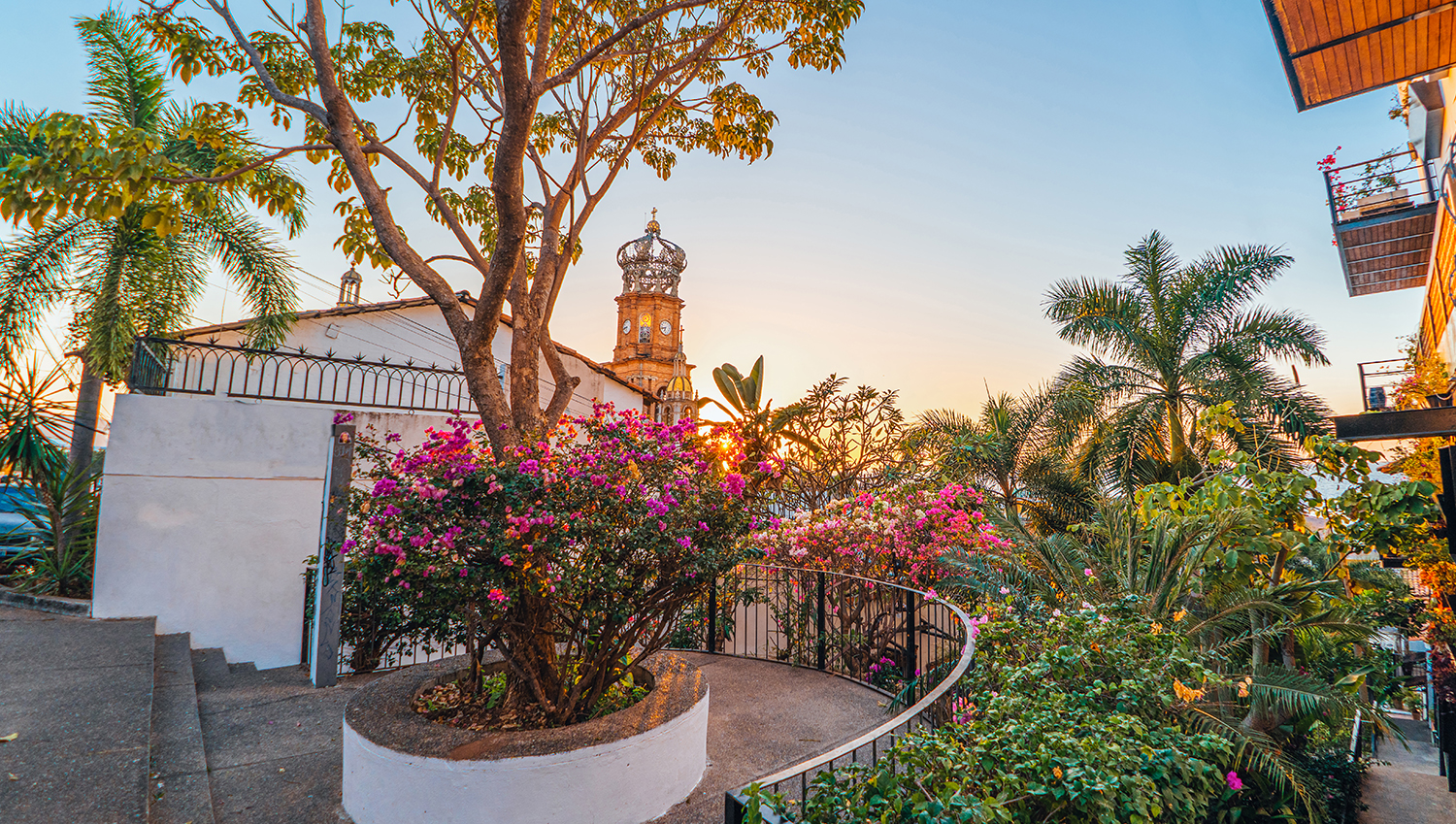 Puerto Vallarta: Atardecer entre Bugambilias