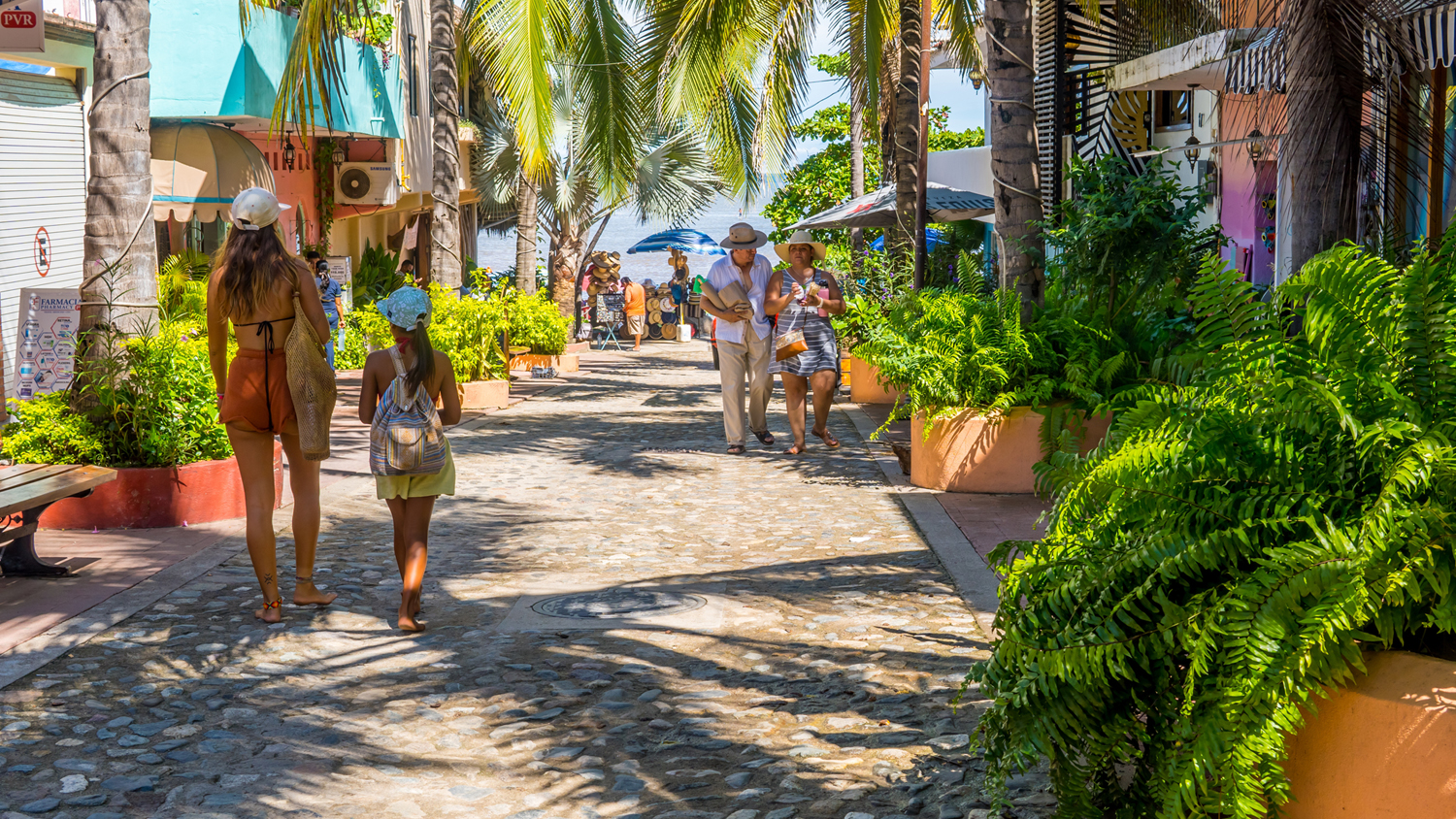 Sayulita: Surf, Música y Vibrante Vida Nocturna