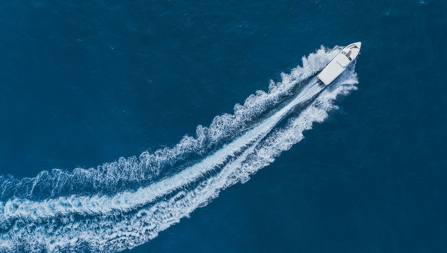 Explorando la Bahía de Banderas en Barco
