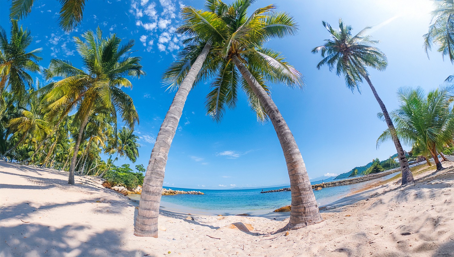 Puerto Vallarta: +5 Cosas Imperdibles para Disfrutar en Semana Santa y Pascua