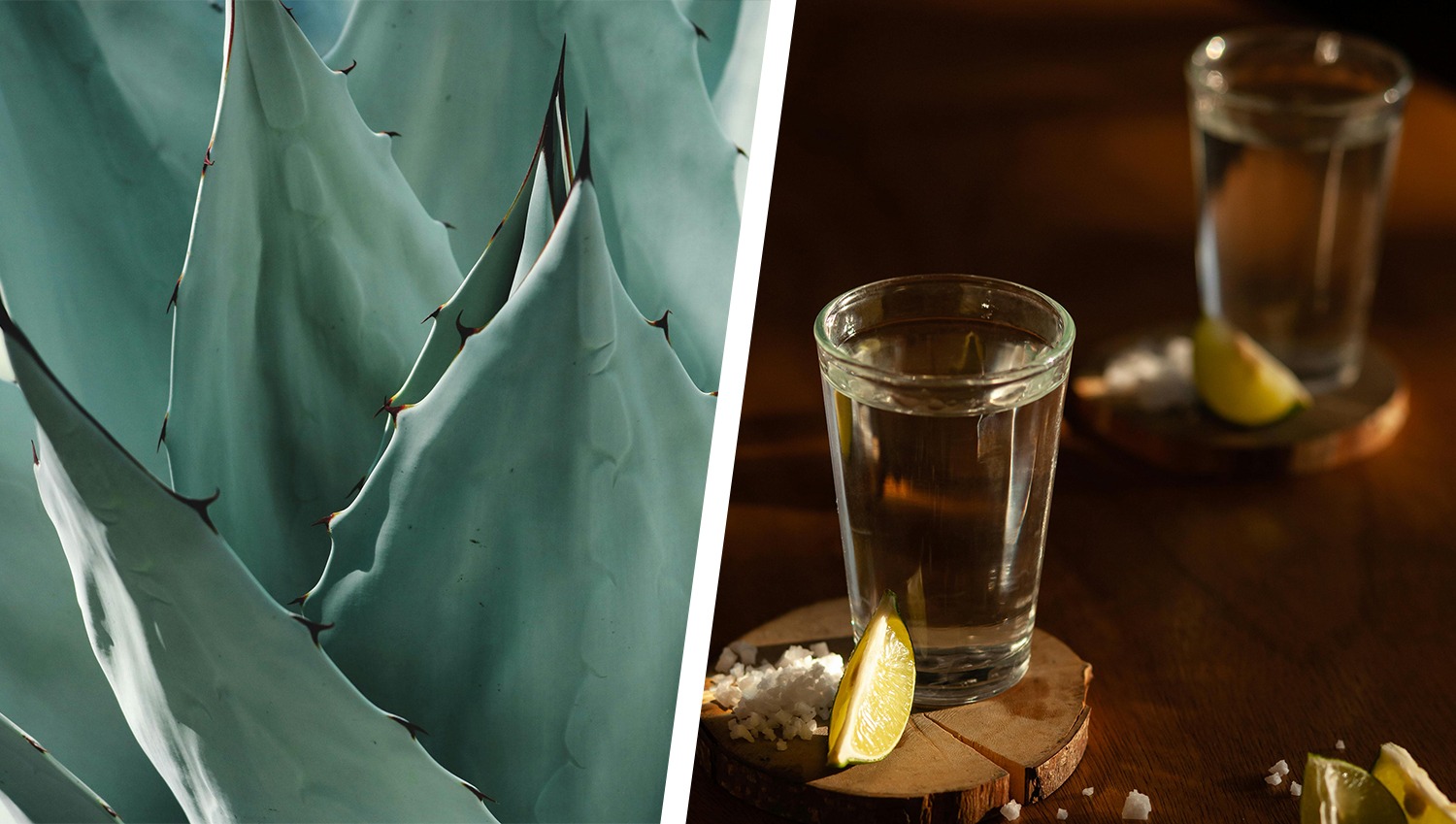Raicilla: Tradición Ancestral en el Occidente de México