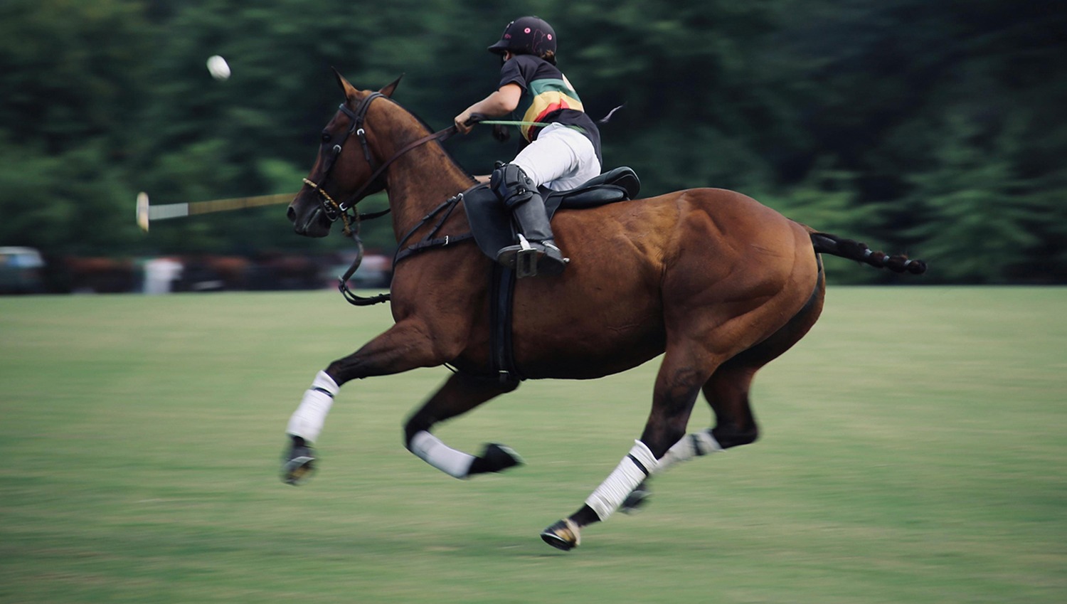 Polo y Golf en Riviera Nayarit: Deportes de Élite entre el Lujo y la Naturaleza