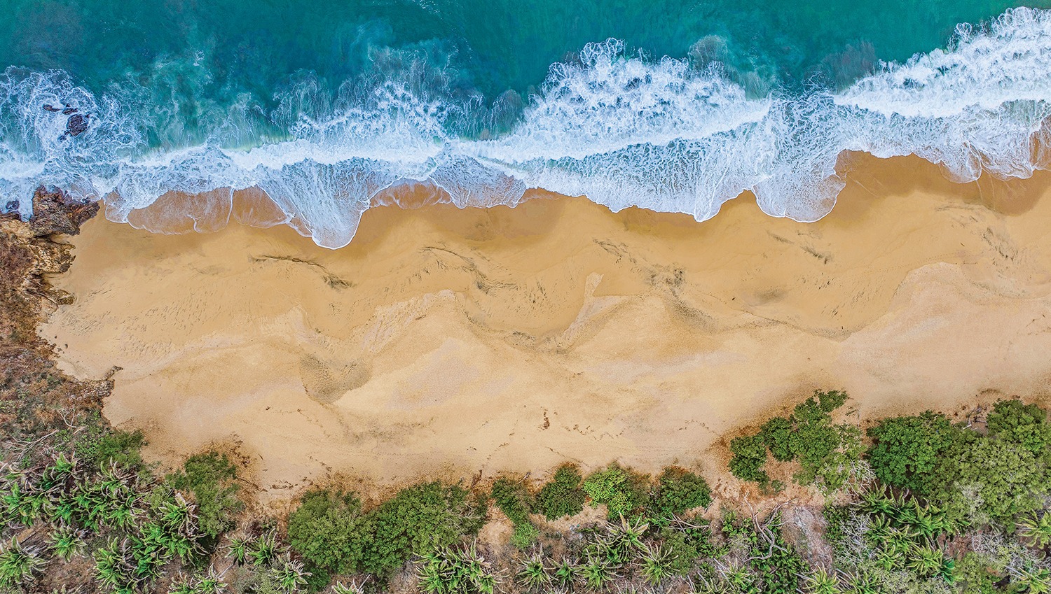 Paraísos desde las Alturas: 5 Impresionantes Playas de Riviera Nayarit