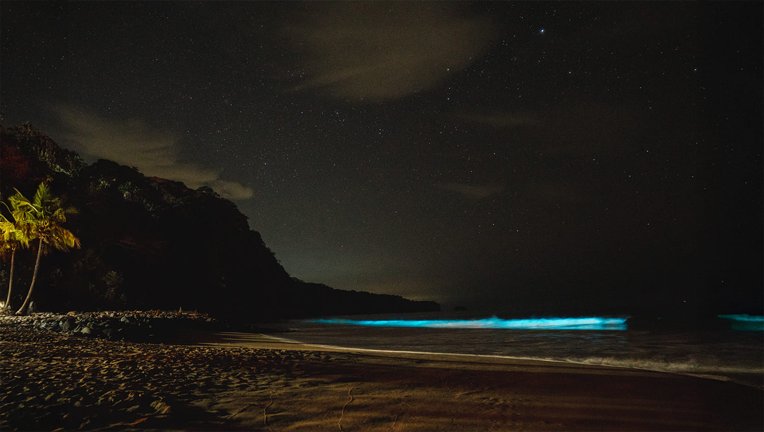 3 Playas Bioluminiscentes de Riviera Nayarit