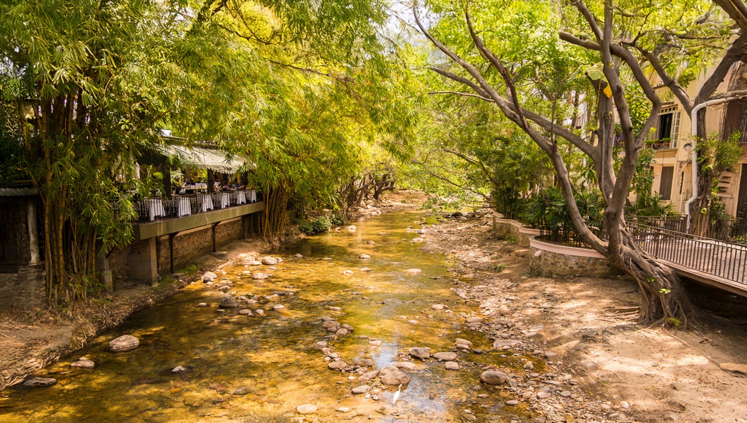 Cuale River Island: 100 Years of History, Nature, and Community in the Heart of PV