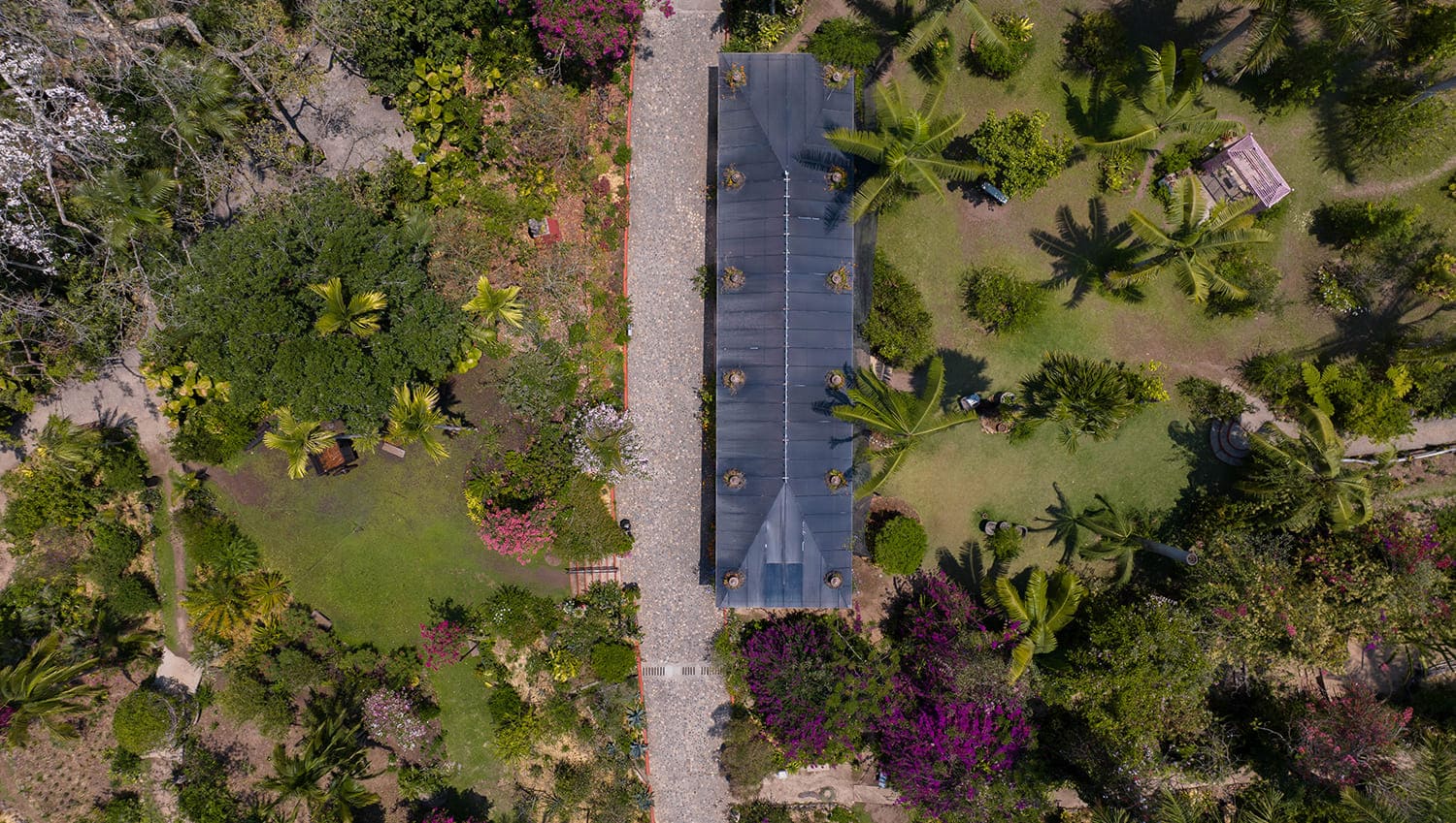 Jardín Botánico de Vallarta: 20 Años de Conservación, Belleza y Comunidad