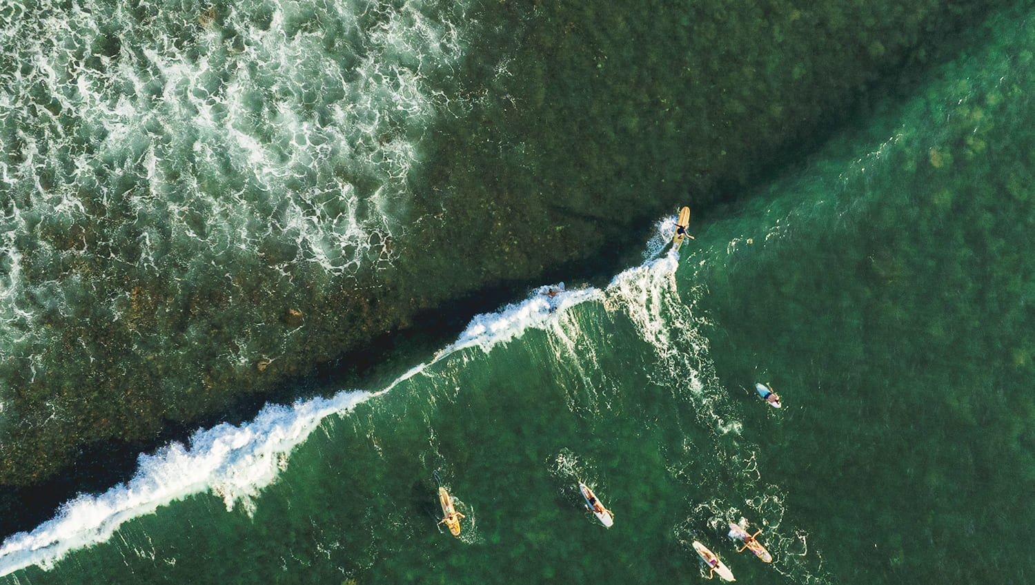 Surfing in Vallarta · Nayarit: Where the Waves Tell Stories