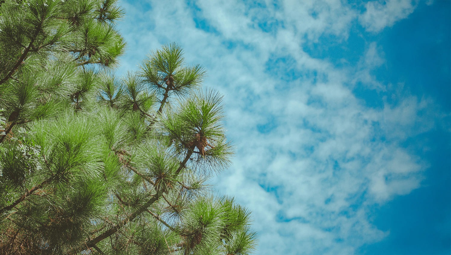 De PV a la Sierra: 5 Pueblos Mágicos para Disfrutar el Invierno entre Montañas