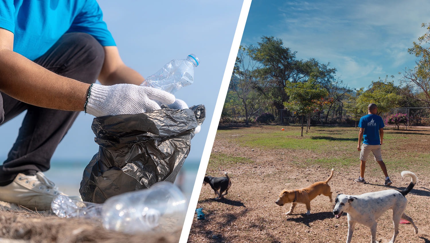 Puerto Vallarta Más Allá del Paraíso: Conectar a Través del Voluntariado