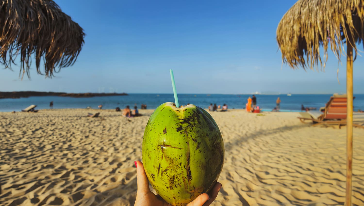 Essential Pleasure in Vallarta · Nayarit: Savoring a Fresh Coconut Facing the Pacific