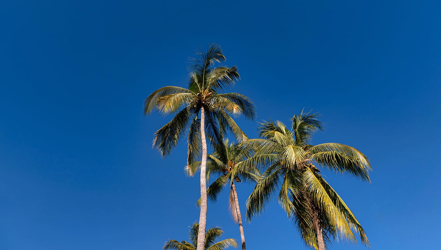 5 Riviera Nayarit Beaches to Enjoyt he Mexican Pacific