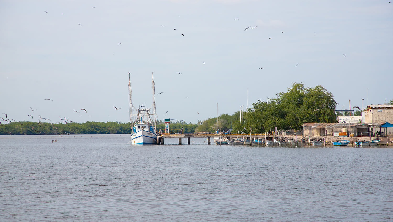 San Blas: A Port Where History Keeps Sailing